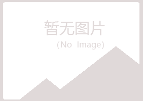 嵩明县梦岚司机有限公司